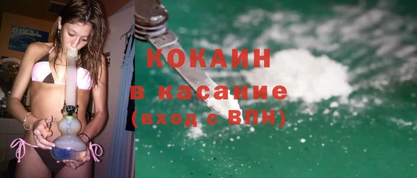 стаф Алзамай