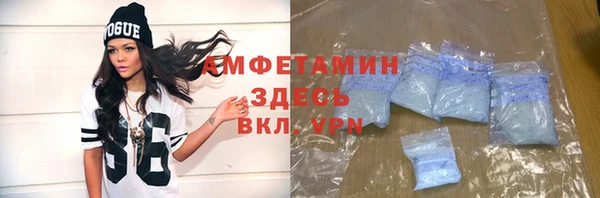 стаф Алзамай
