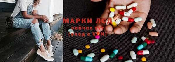 стаф Алзамай