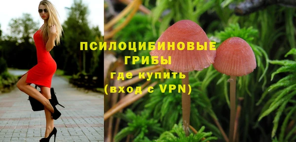 стаф Алзамай