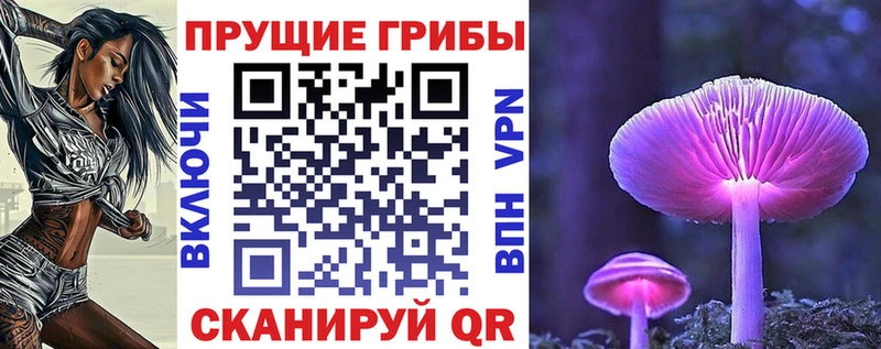 закладки Дрезна Галлюциногенные грибы MAGIC MUSHROOMS